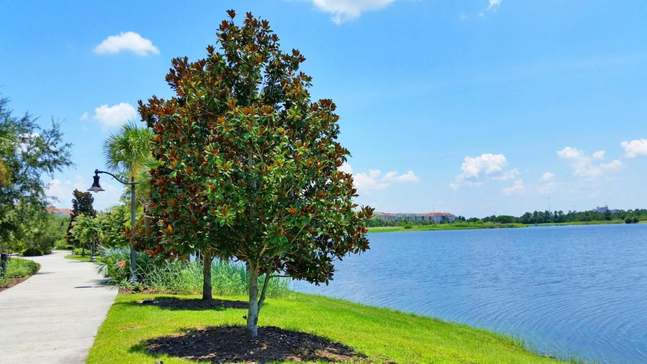 Beautiful Pet Friendly Condo Near Pool Orlando Zewnętrze zdjęcie
